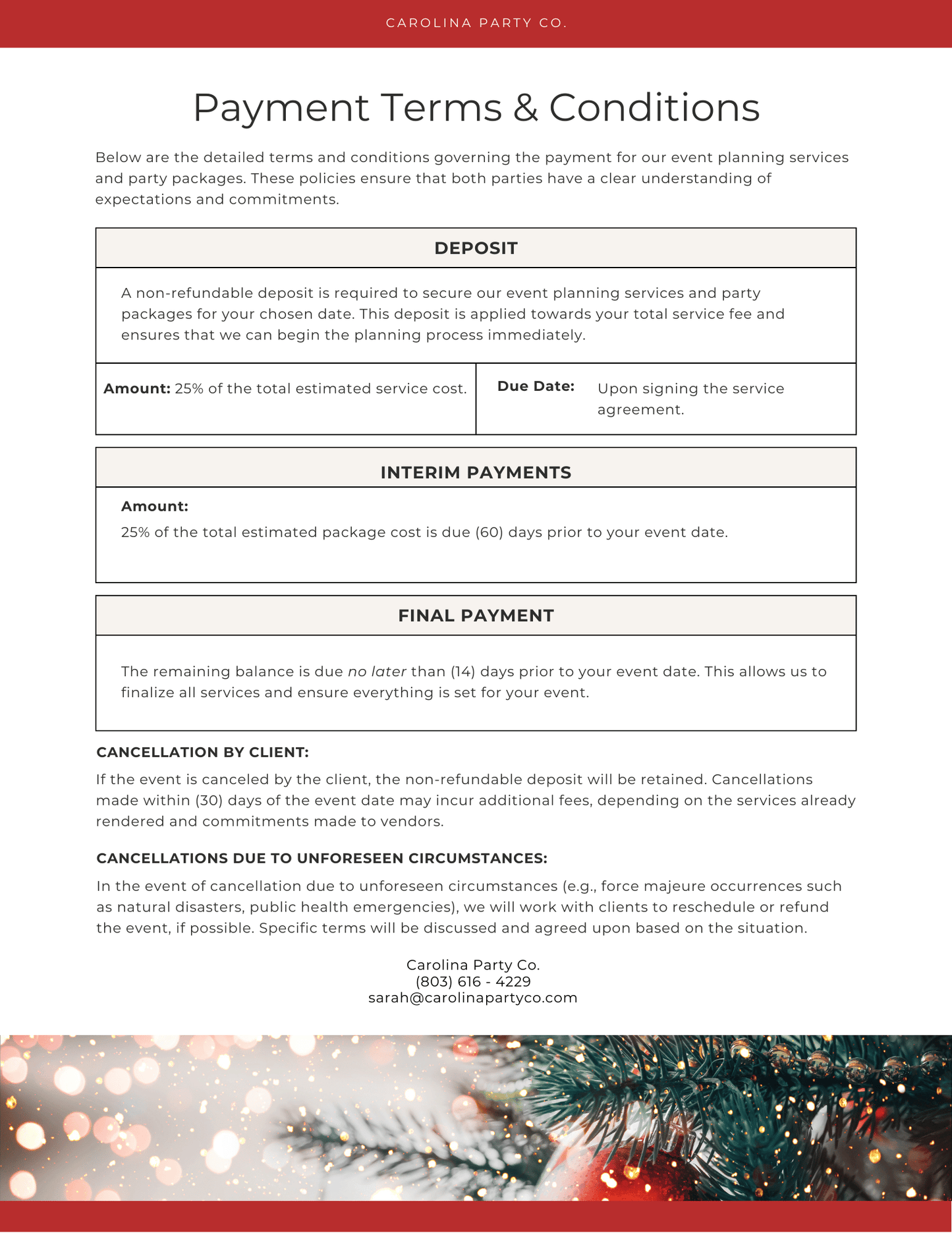 Santa Party! - Private Party Package